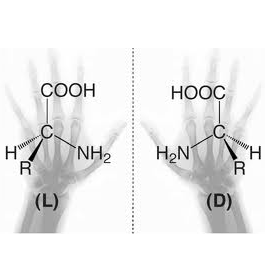 DL-Amino Acids and Derivatives