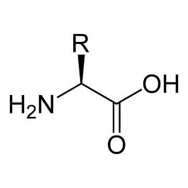 L-Amino Acids and Derivatives L-Amino Acids and Derivatives