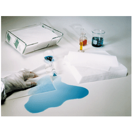 Cleanroom Wipes Cleanroom Wipes