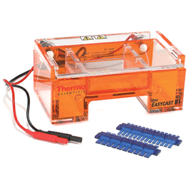 Electrophoresis Gel Systems