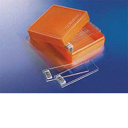 Slides and Slide Storage Slides and Slide Storage