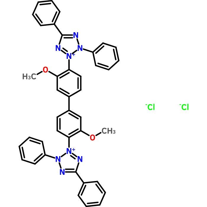 Blue Tetrazolium