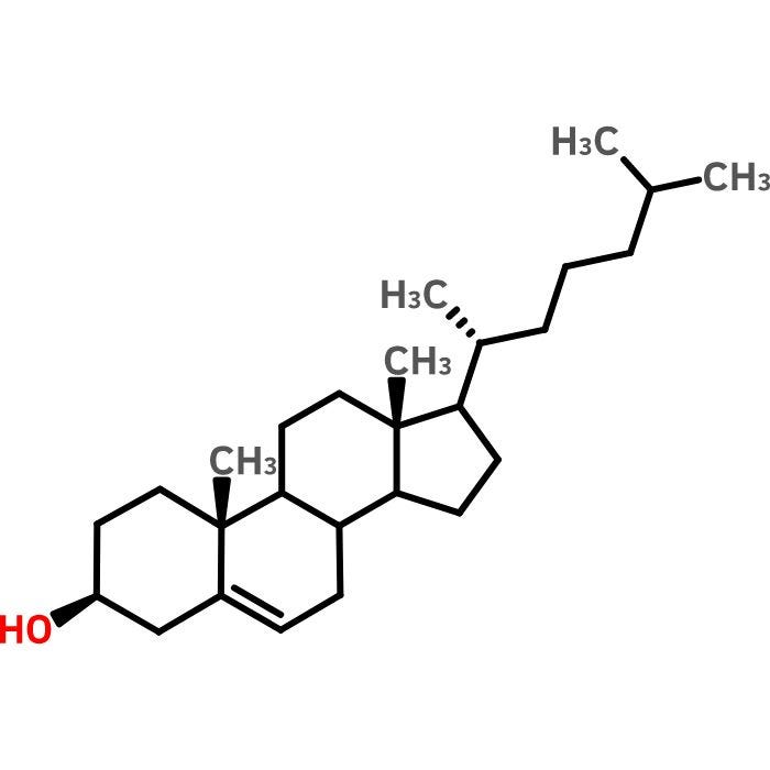 Cholesterol