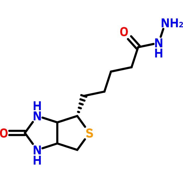 (+)-Biotin Hydrazide